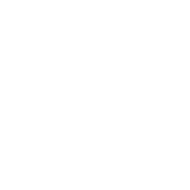 car-icon